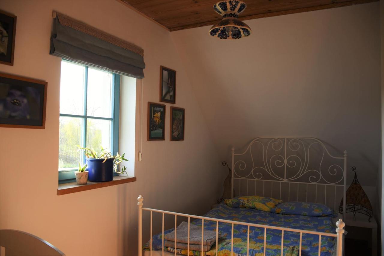 Dom Na Szumiacych Drzew Villa Debina  Luaran gambar
