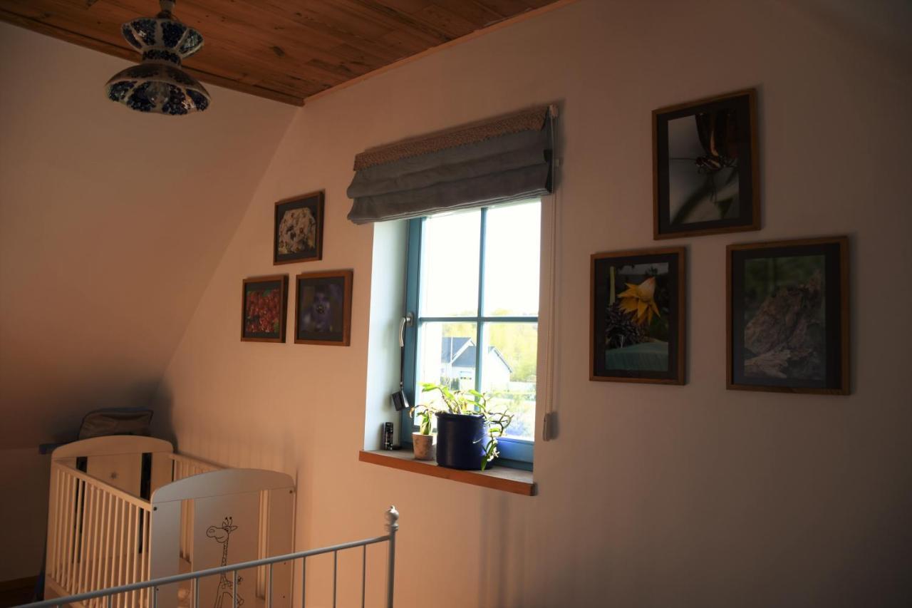 Dom Na Szumiacych Drzew Villa Debina  Luaran gambar